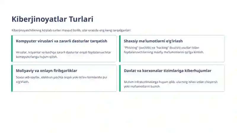 Kiberjinoyatlar 3