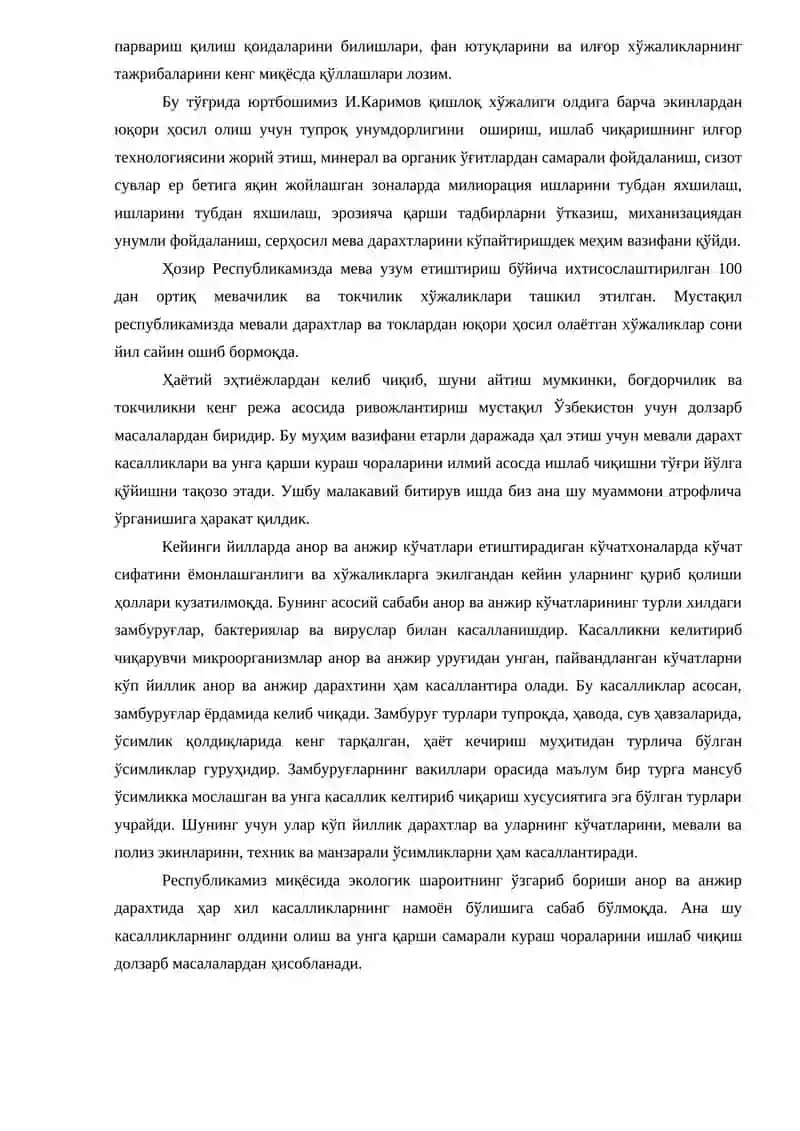 Анор ва анжирнинг замбуруғ касалликлари ва унга қарши кураш чоралари 3