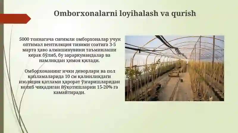 Poliz ekinlarini saqlash usullari va omborxona turlari 3