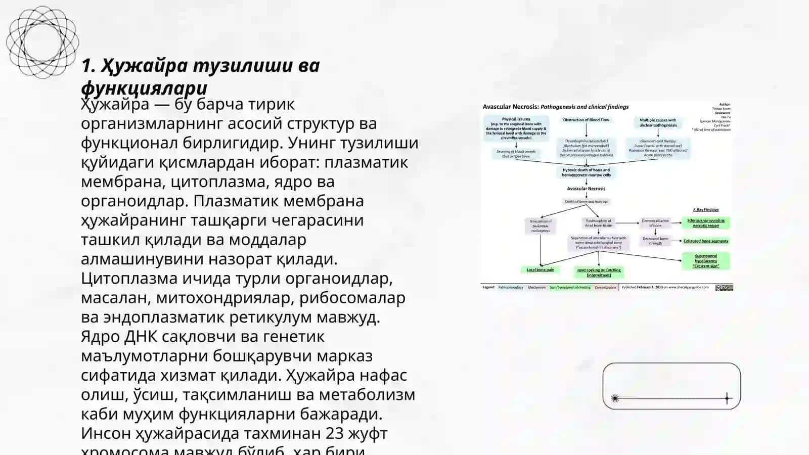 Ҳужайра биологияси (апоптоз ва некроз), ген терапияси асослари 3