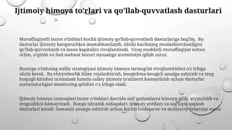 Bozor iqtisodiyotiga o'tishning milliy konsepsiyasi va islohotlar strategiyasi 3