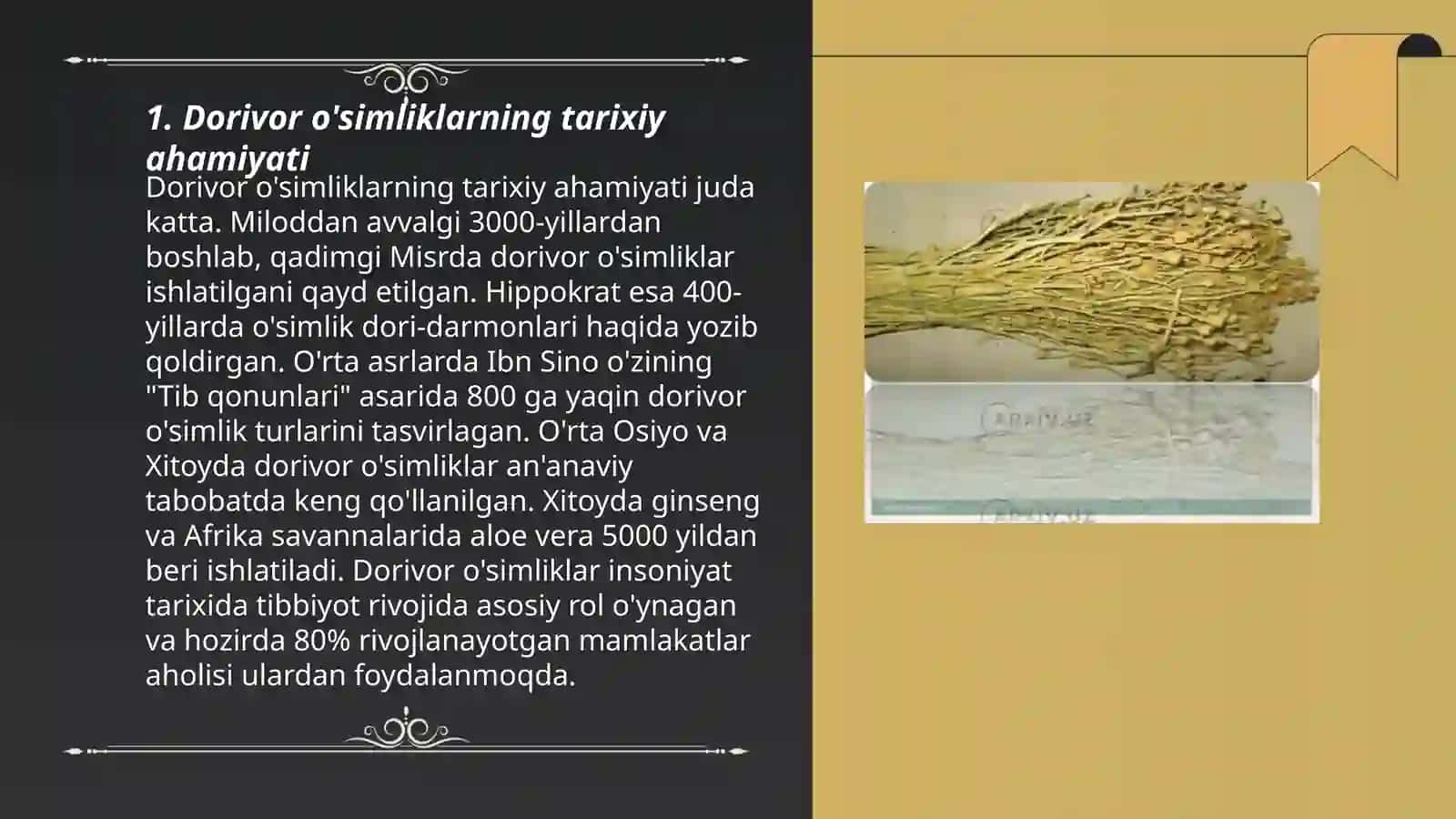 Dorivor o'simliklarni inson hayotidagi ahamiyati 3