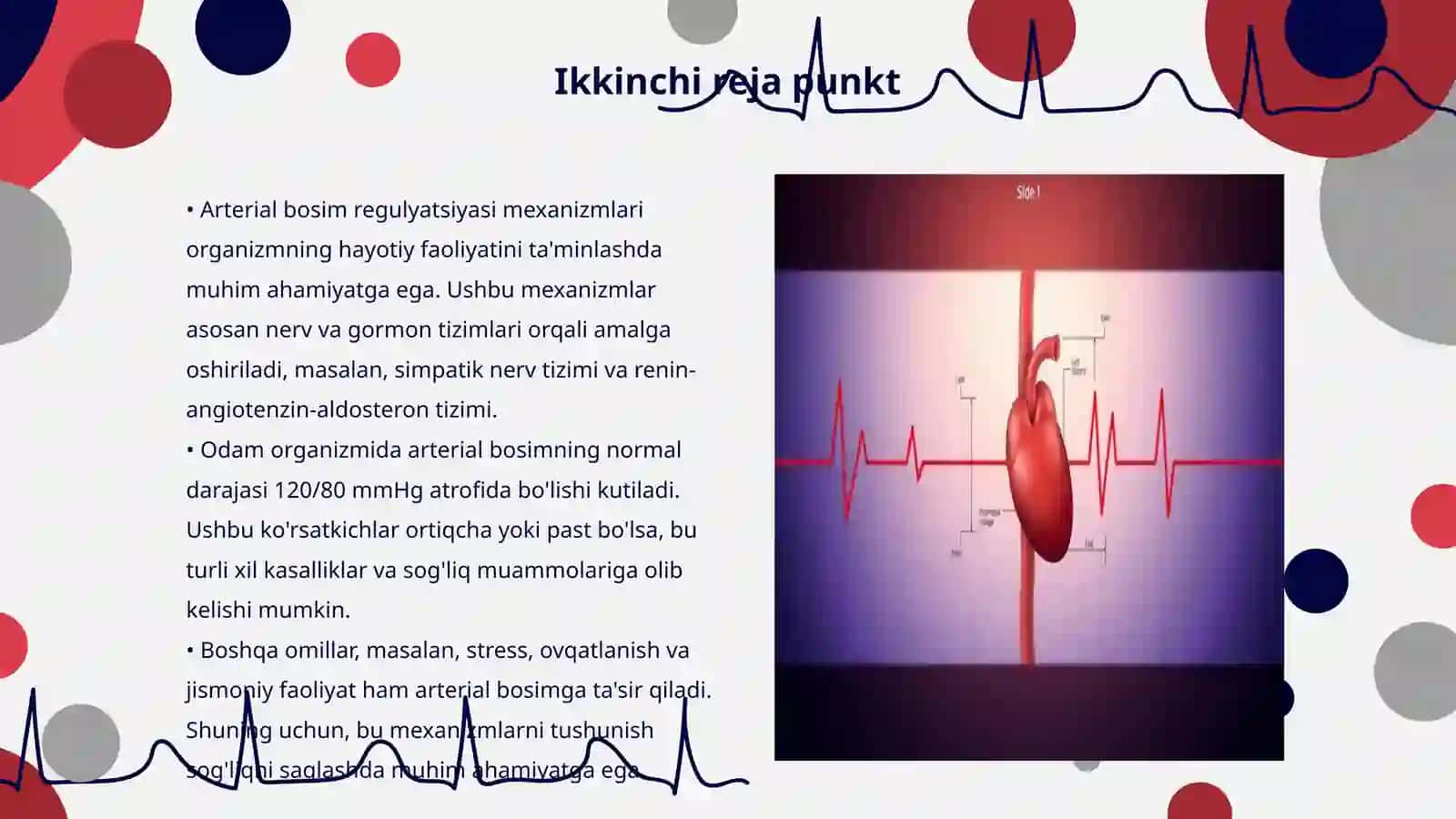 Arterial bosim regulyatsiyasi mexanizmlari 3