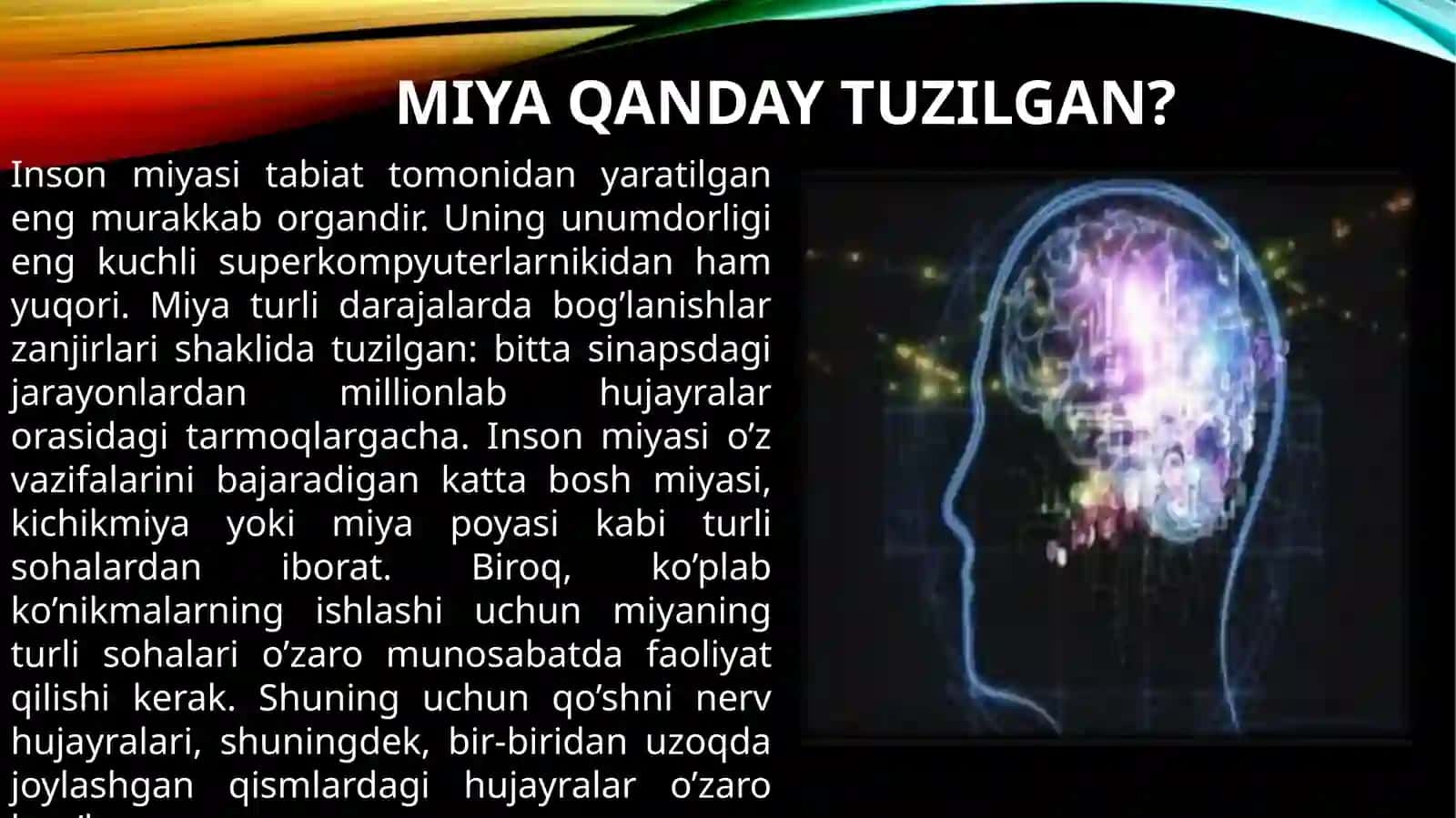 Miyavaasabtizimi 3