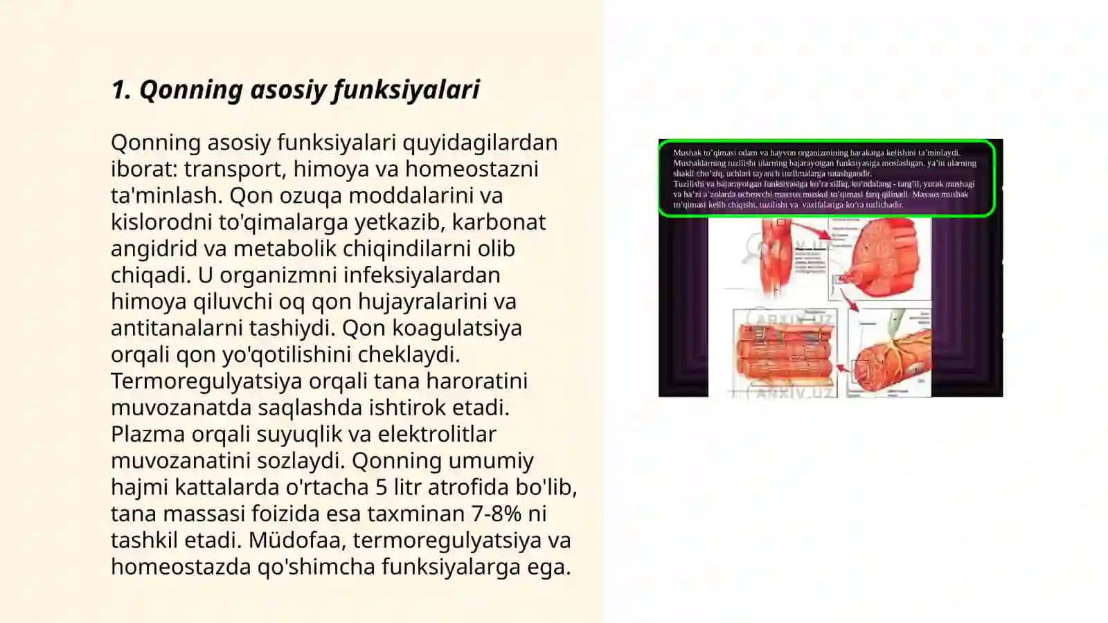Kamqonlik.Gemostaz.Qon guruhlari.Rezus faktr.Qon quyish asoslari 3