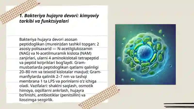Bakteriya hujayrasining kimyoviy tarkibi 3