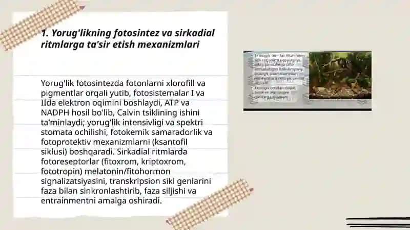 Turli ekalogik omillarning tirik organizmlarga ta'sir etish mexanizmlari 3