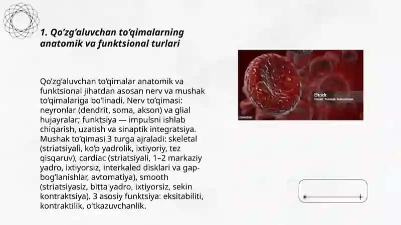 Qo’zg’aluvchan to’qimalarda bioeliktirik xodisalari.Eritrotsitlar Fizalogiyasi. Gemoglabin 3