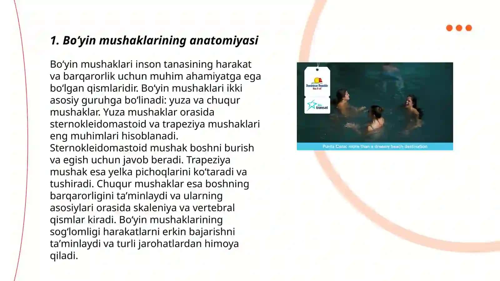 Boʻyin mushaklari, boʻyin uchburchaklari, fassiyalari 3