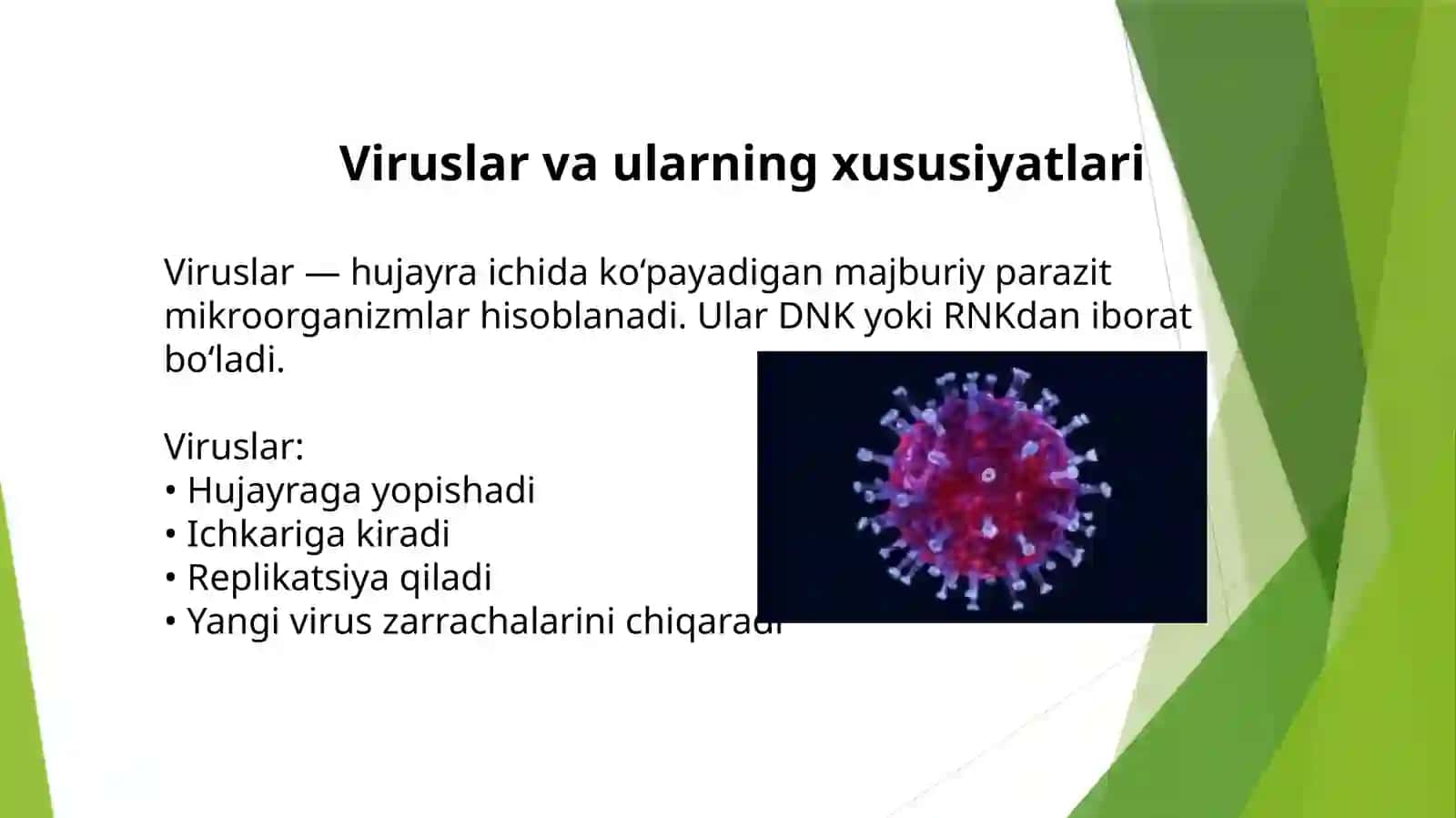 Viruslargavao‘smalargaqarshidorivositalariningta’sirmexanizmi 3