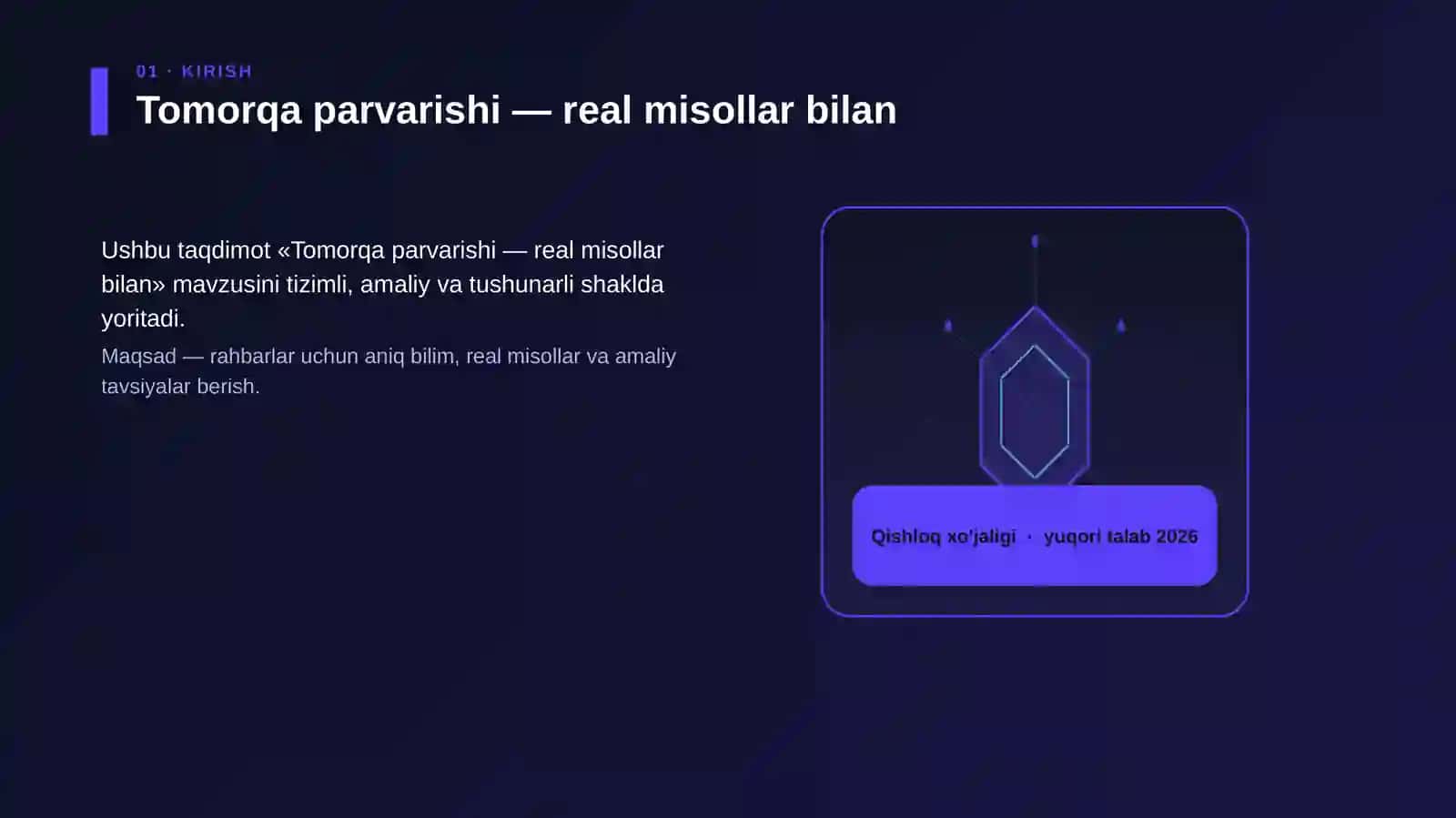 Tomorqa parvarishi — real misollar bilan 3
