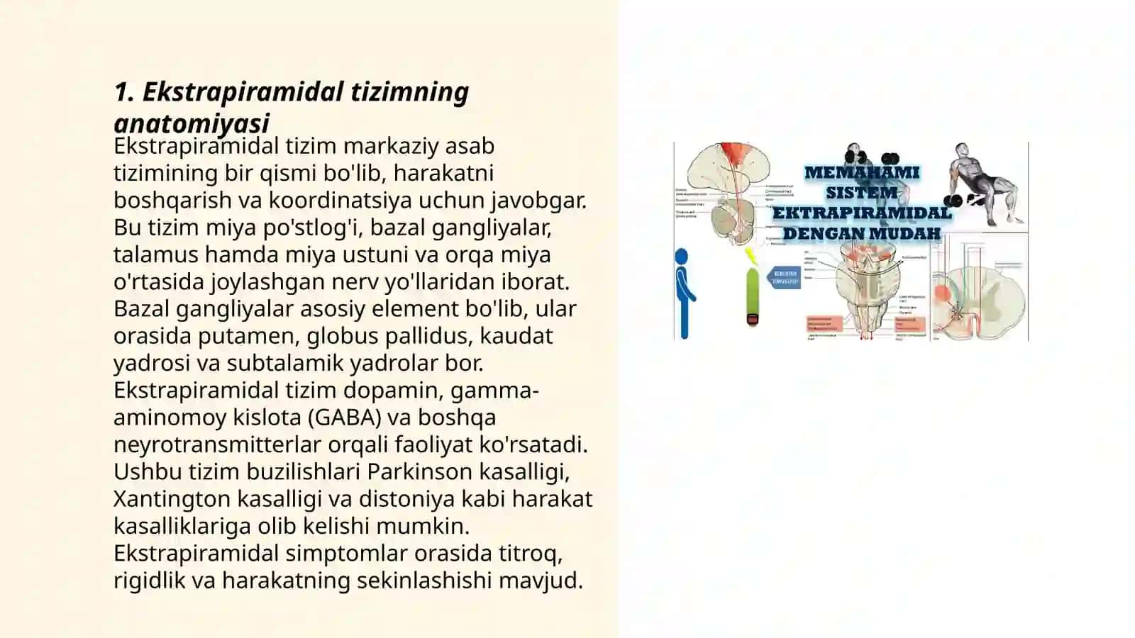 Ekstrapiramidal tizimi 3