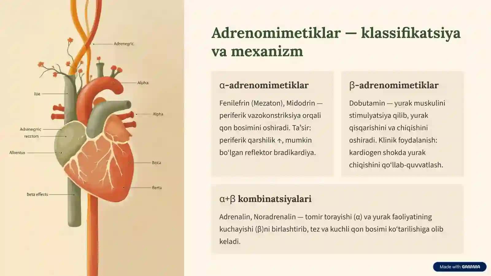 Gipertenziv va tonusni kuchaytiruvchi vositalar — tezkor klinik qo‘llanma 3