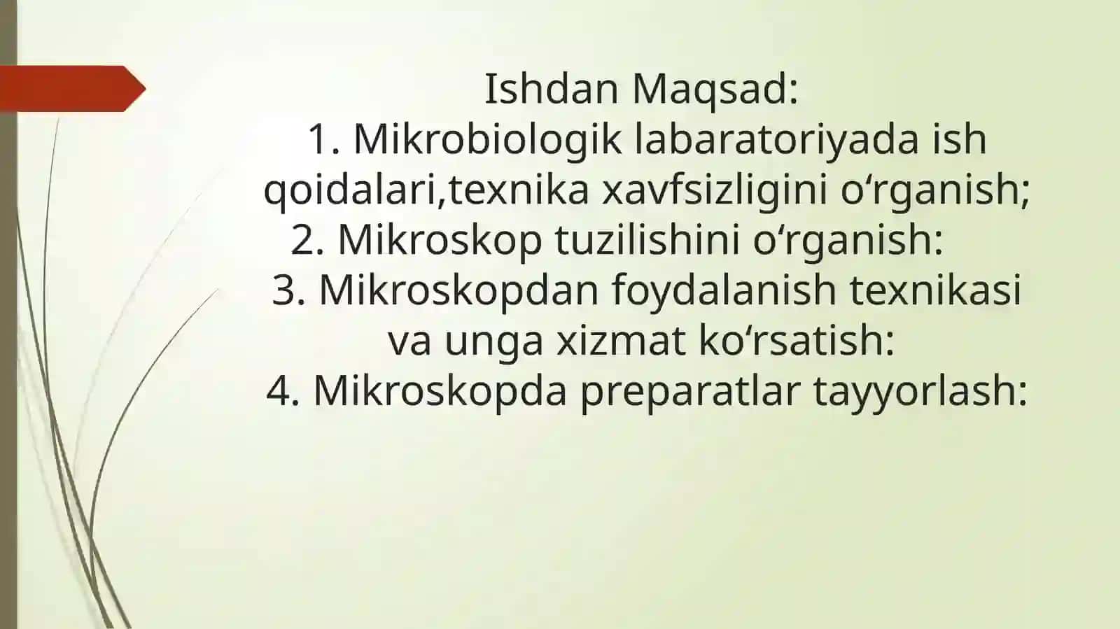 Mikroskop 3