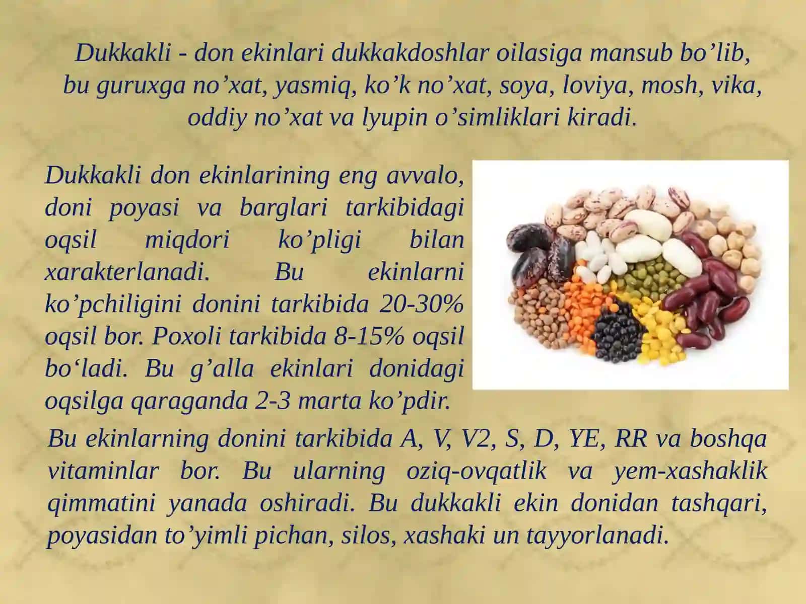 Dukkaklidonekinlarining umumiy tavsifi, ahamiyati, ishlatilishi, tarqalishi 3
