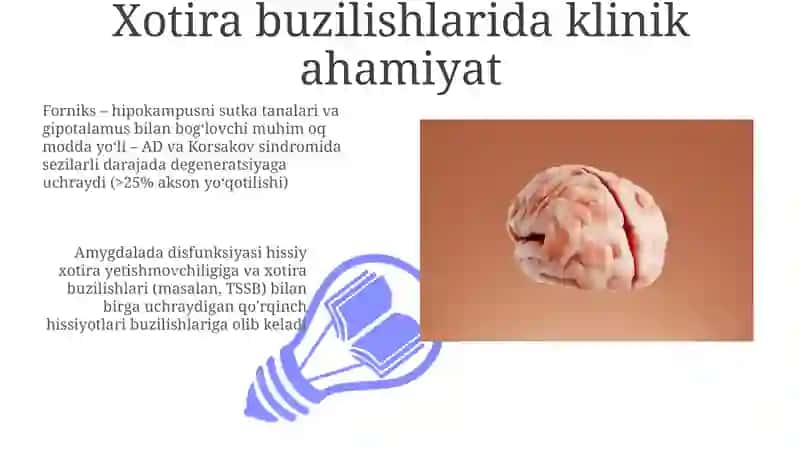 Limbiktizim klinikahamiyati 3