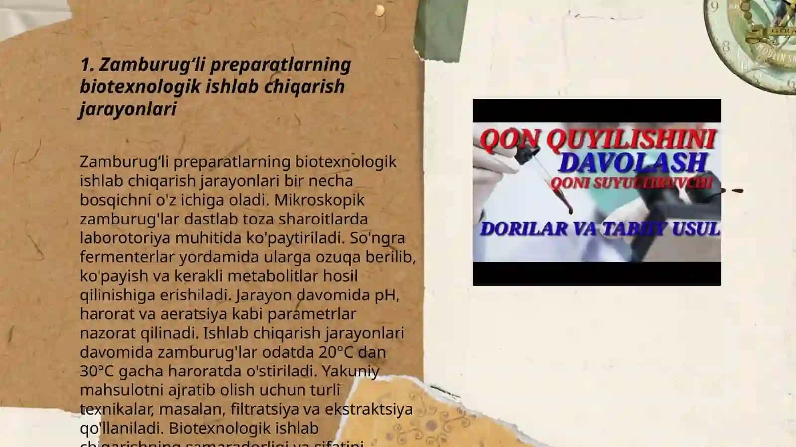 Zamburugʻli preparatlar olish uchun biotexnologiya 3