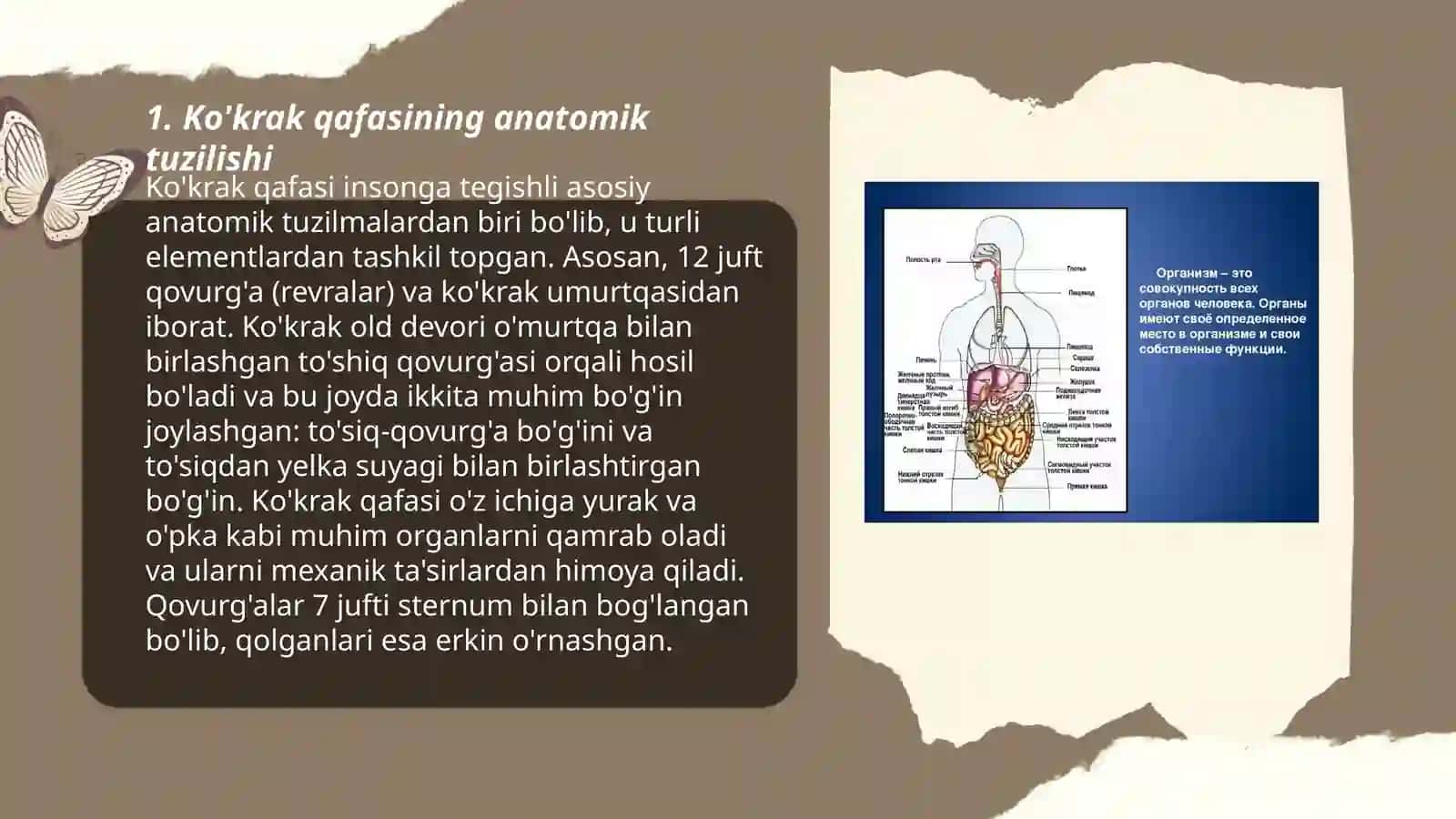 Ko'krak qafasi organlari jarohatlari 3