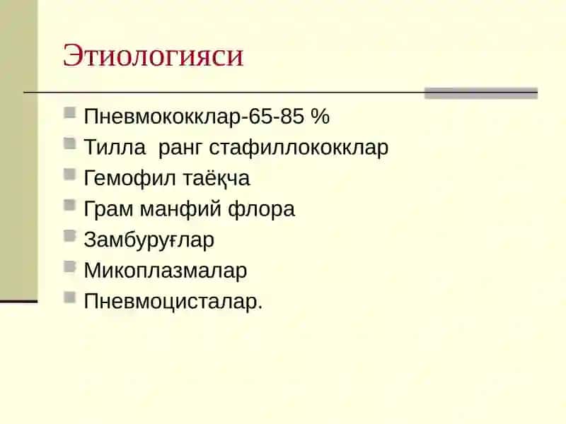 Пневмония 3