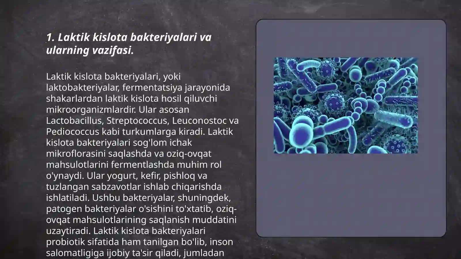 Laktik kislota bakteriyalari va ularning vazifasi 3