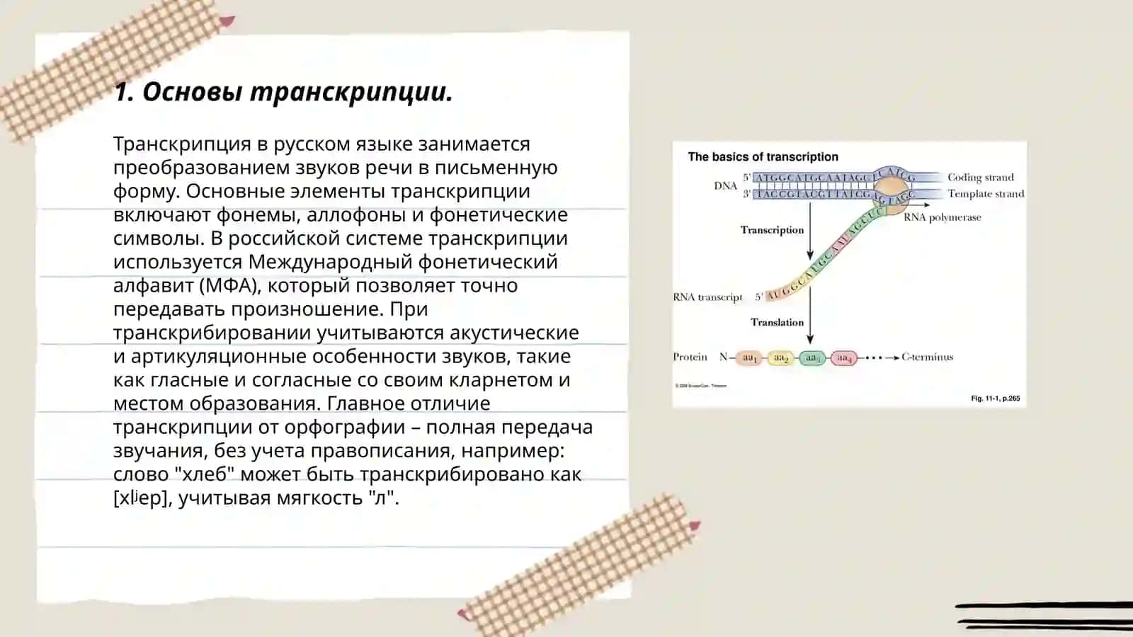 Транскрипция.Правила Транскрипции 3