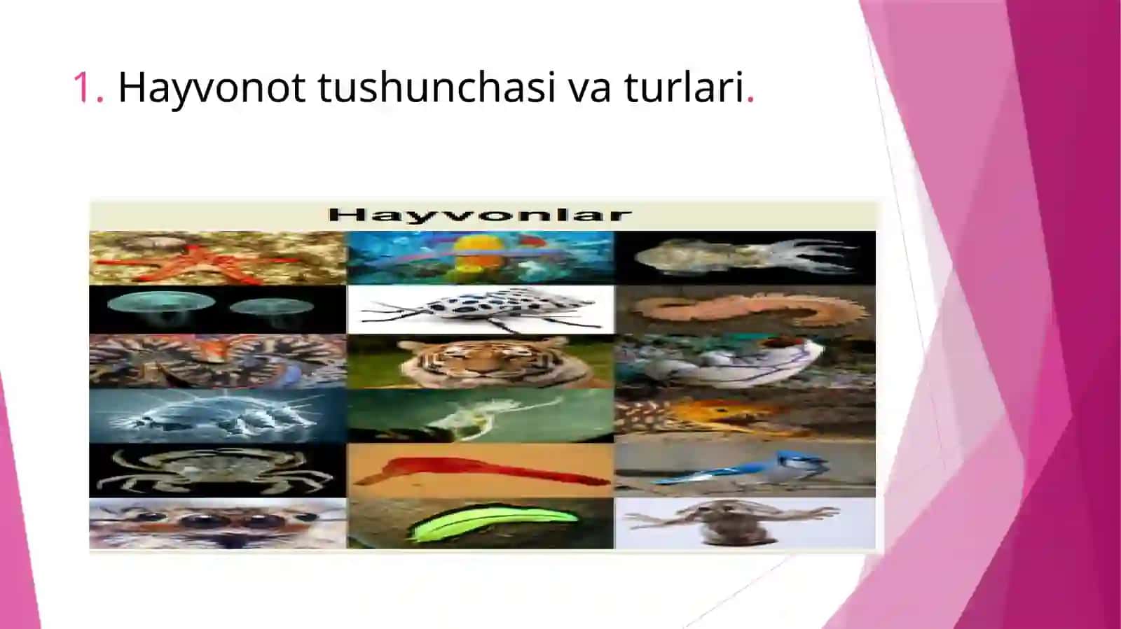 Hayvonot dunyosini muhofaza qilish va undan foydalanish 3