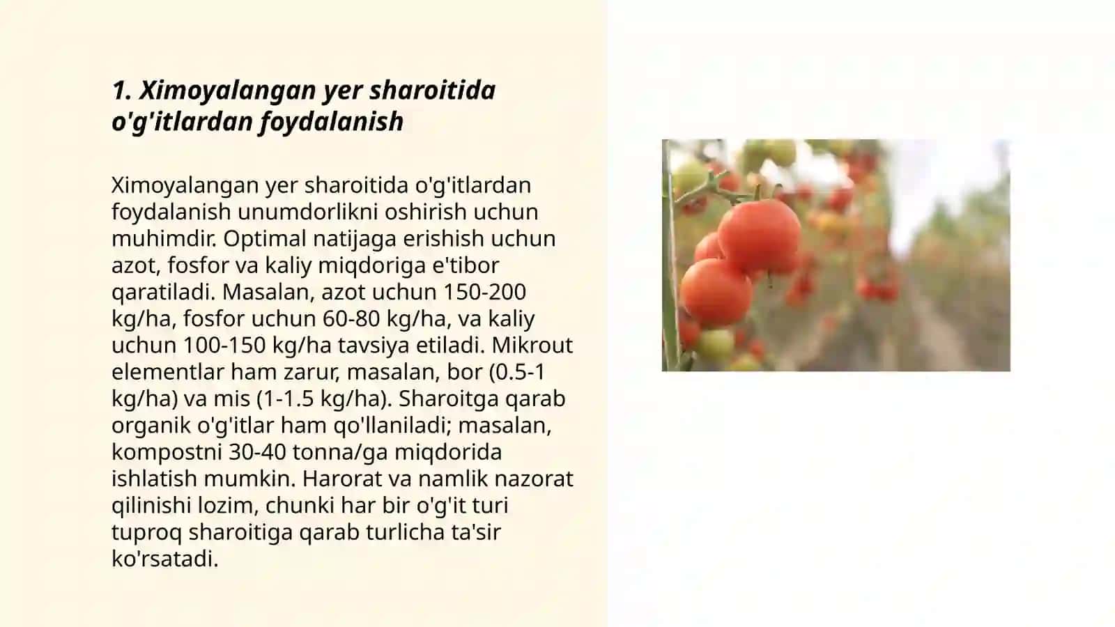 Ximoyalangan yer sharoitida sabzavotlar yetishtrishda agrokimyo xizmatini tashkil qilish 3