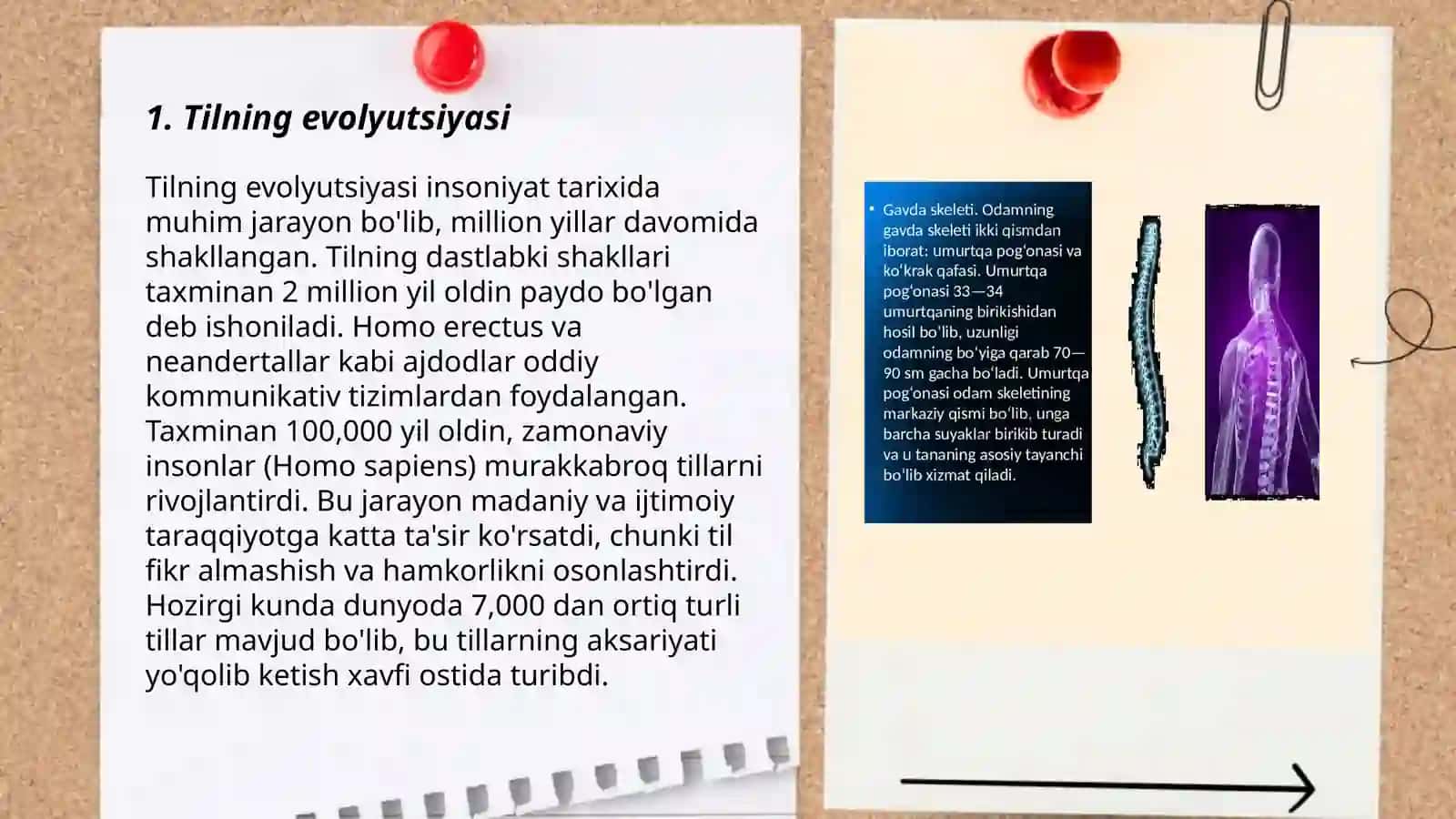 Tilning evolyutsiyasi 3