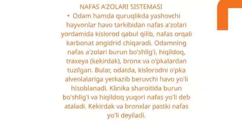Nafas olish tizimi 3