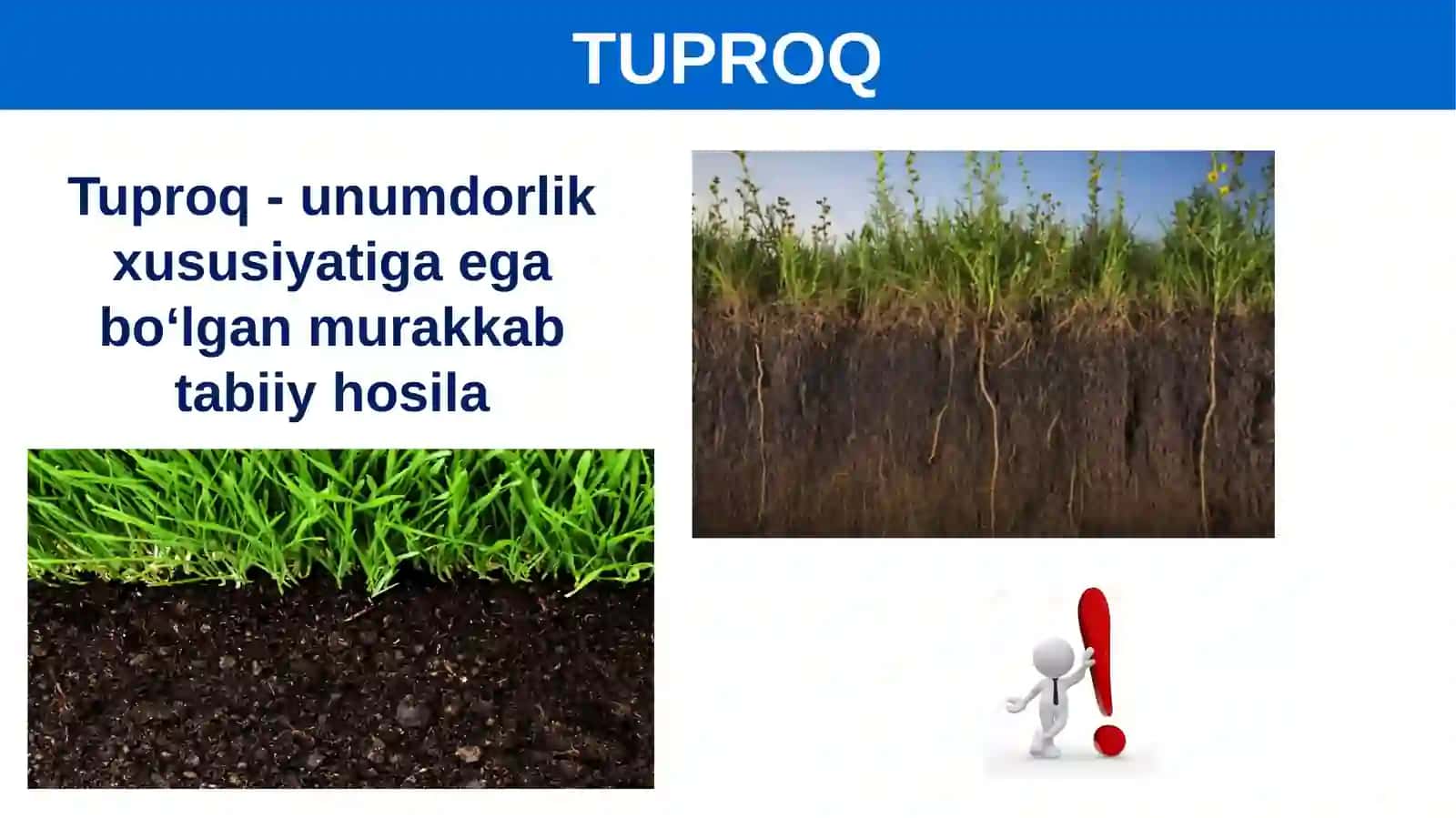 Tuproqning Ona Jinsi 3