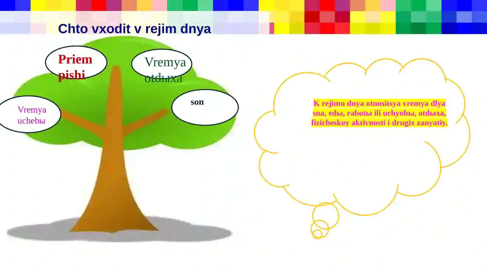 Kun tartibi va salomatlikni mustahkamlash 3