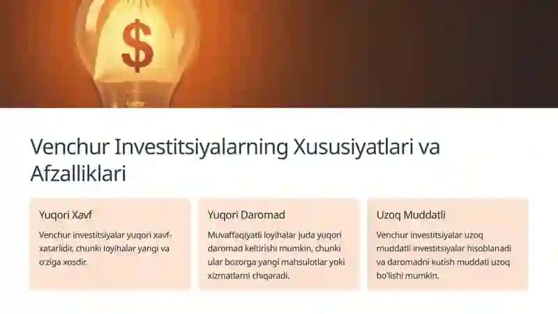 Venchur Fondlari: Tashkil Etilishi va Faoliyatini Boshqarish 3