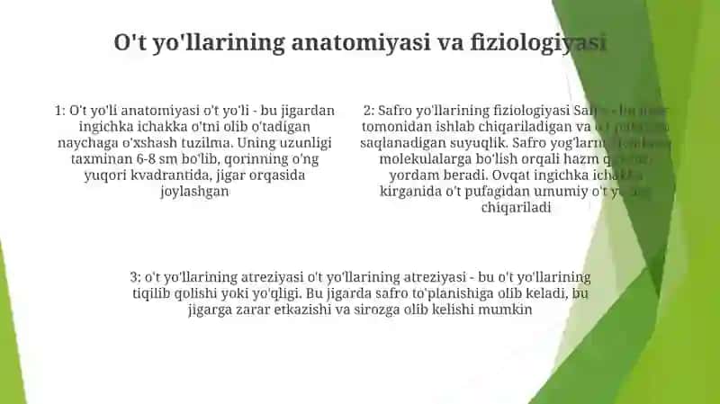 Atributlar to'plami 3
