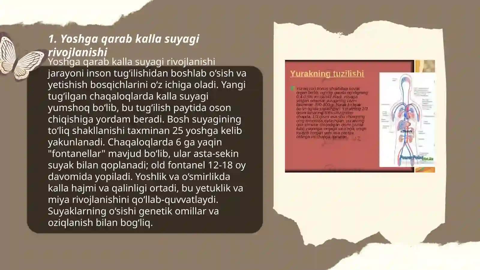 Kalla suyagining yosh va jinsga qarab xususiyatlari,rivojlanish nuqsonlari 3