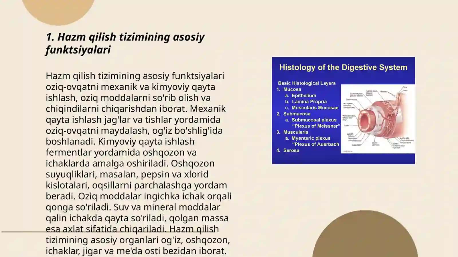 Hazm qilish tizimi haqida tushuncha 3