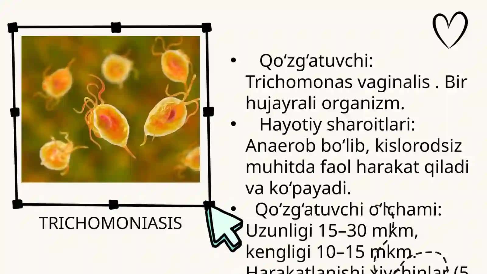 TRIXOMONIAZ . UREAPLAZMOZ 3