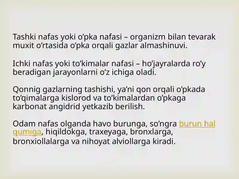 Nafastizimining yosh xususiyatlari va gegenasi 3