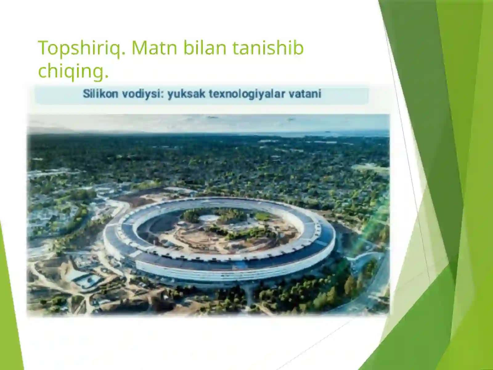 10-sinf Ona tili dars ishlanma. Silikon vodiysi matni ustida ishlash 3