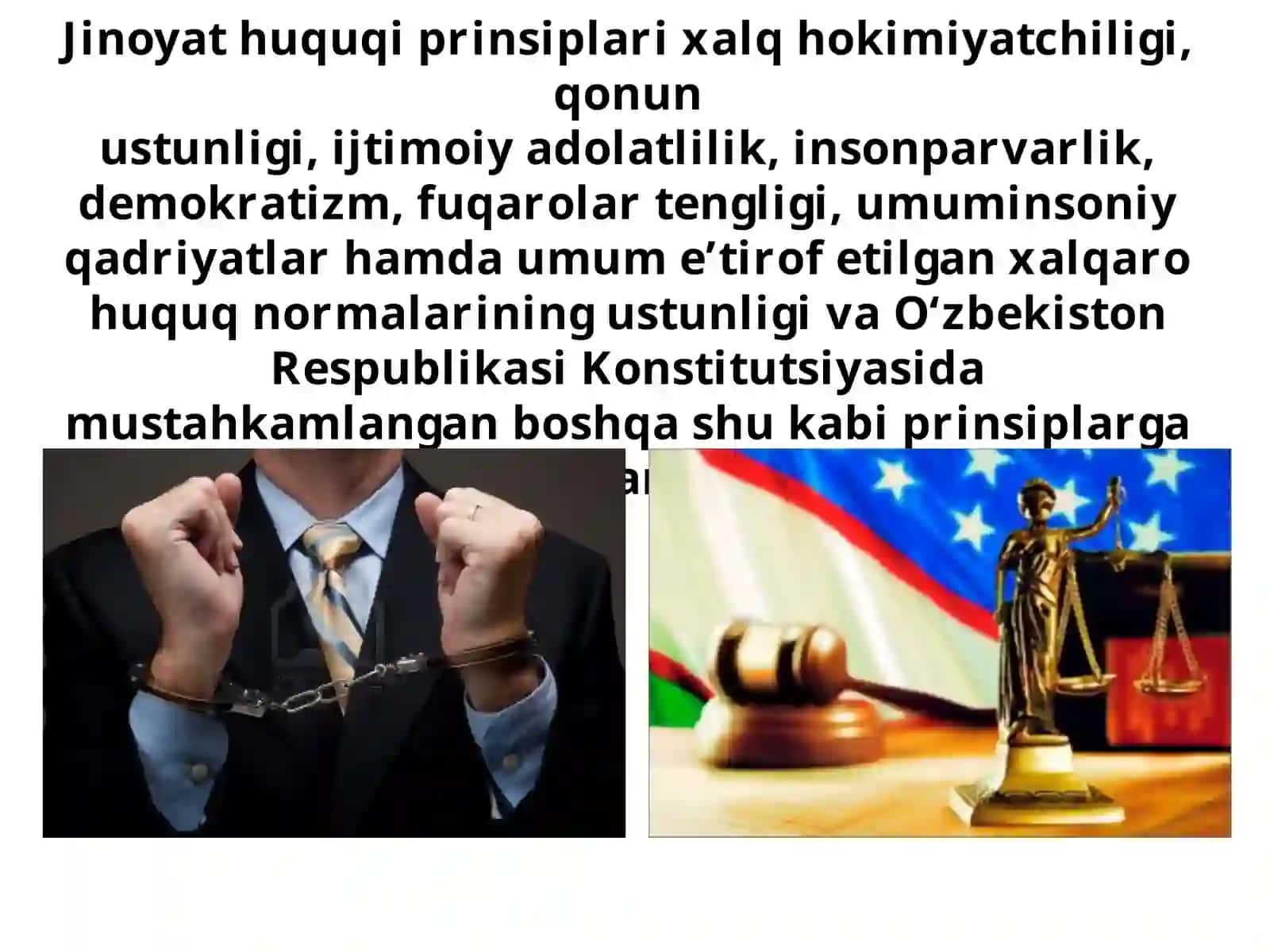 Jinoyat huquqining maqsadi, vazifasi va tamoyillari 3
