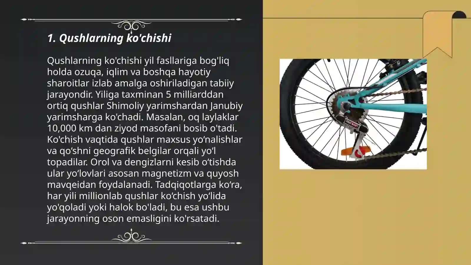Qushlar hayoti 3