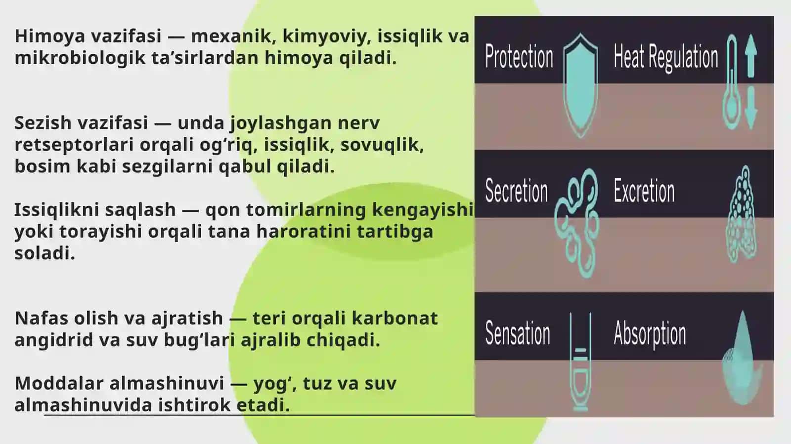 Teriostiyog‘qatlamixususiyatlari 3