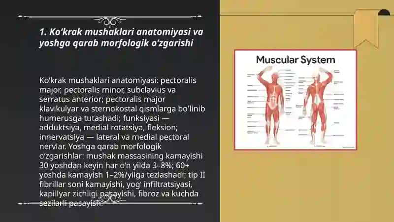 Koʻkrak mushaklari, qorin mushaklari va chov kanali 3