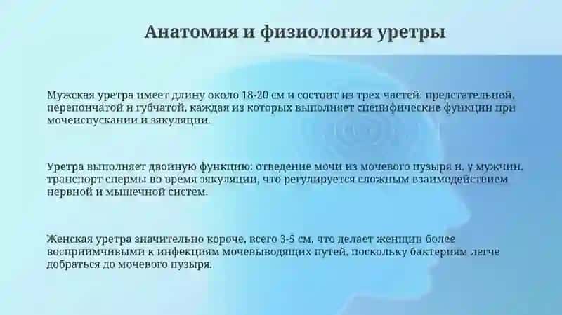 Мочеиспускательныйканал 3