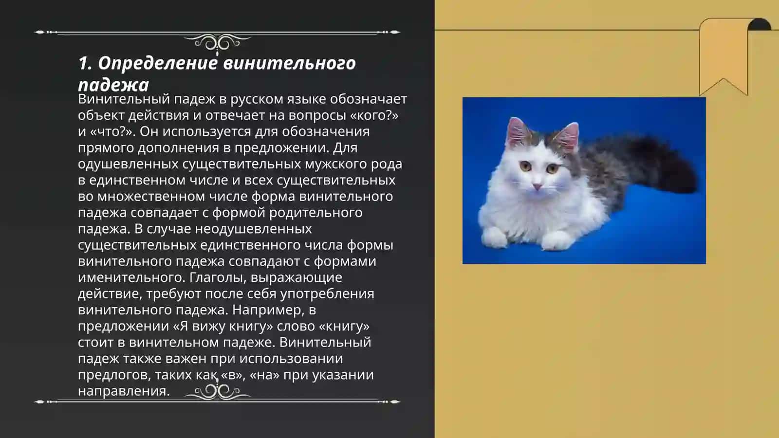 Винительный падеж. Родительный падеж 3