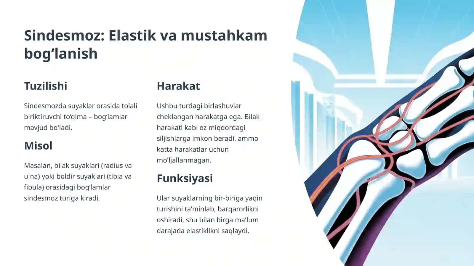 Sindesmoz, Sinxondroz va Sinostoz: Birlashuvlarning Turlari va Ahamiati 3