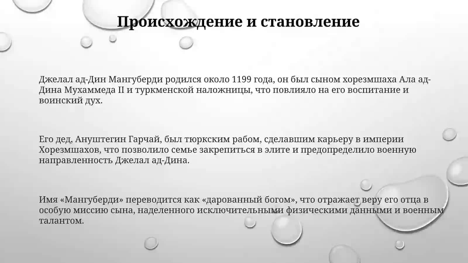Джалолиддин Мангуберди 3