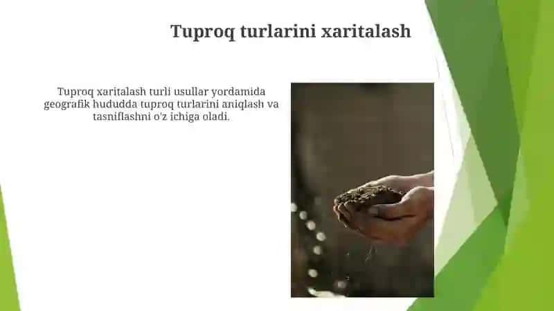 Tuproq paydo boʻlish jarayonining umumiy sxemasini oʻrganish 3