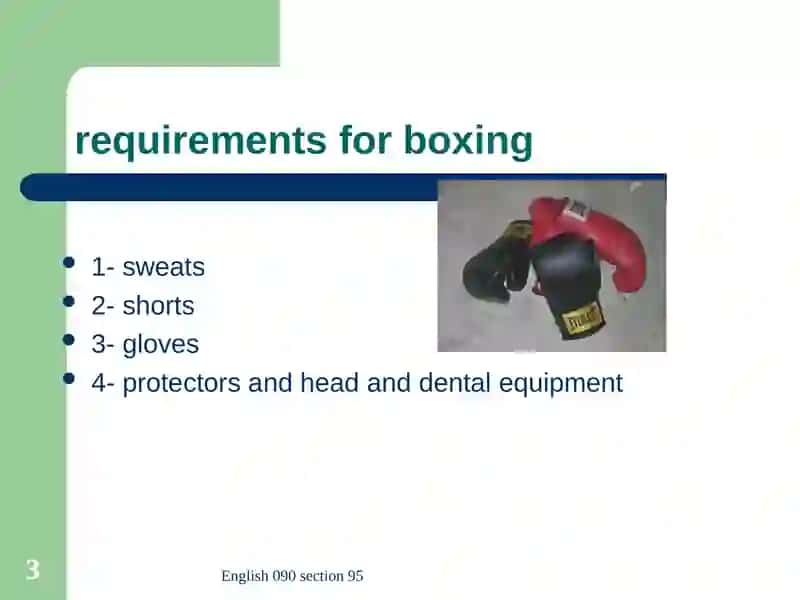 Boxing 3
