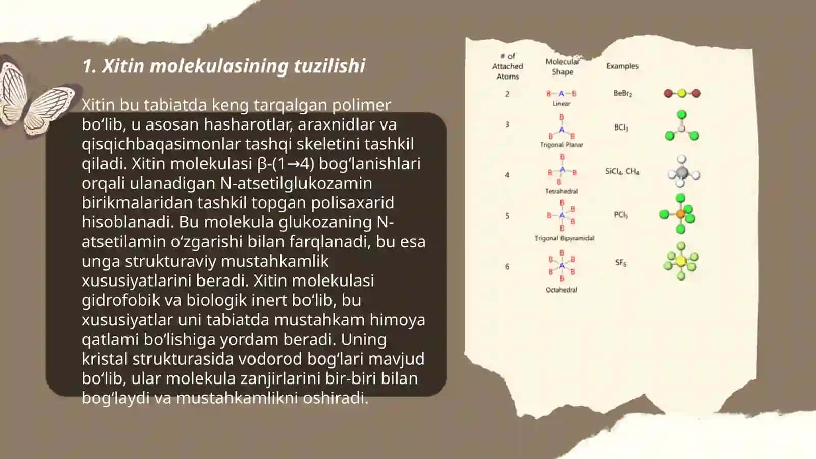 Xitin molekulasining tuzilishi 3