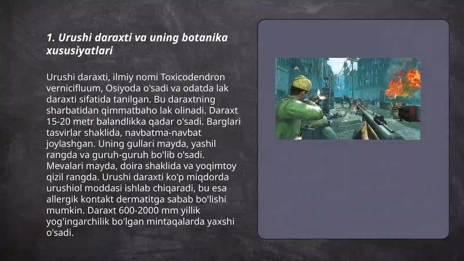 2 Jaxon urushi haqida 3